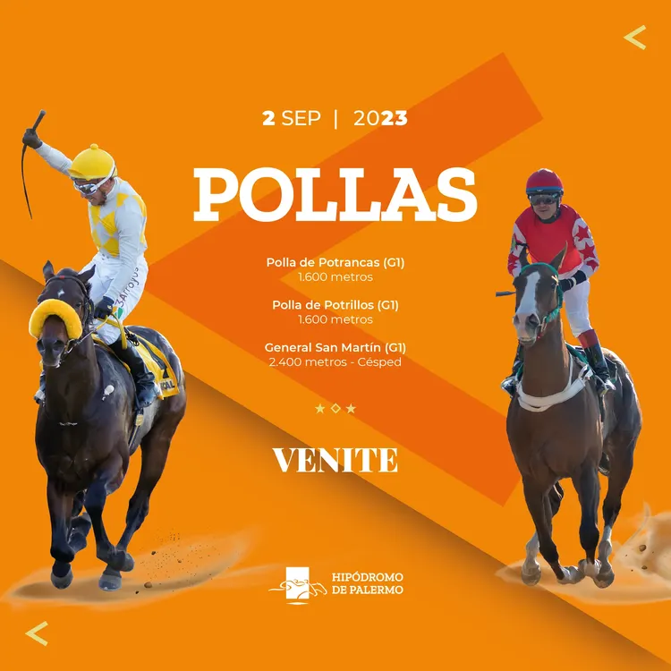 Flyer cuadrado - Pollas