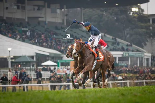 love the races