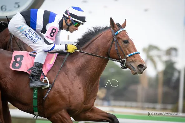 Rocanroll sin destino