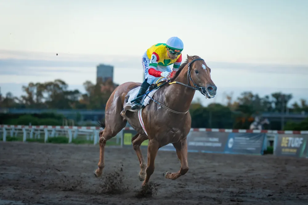 LE CORNETTE 0903 WEB (1 de 1)