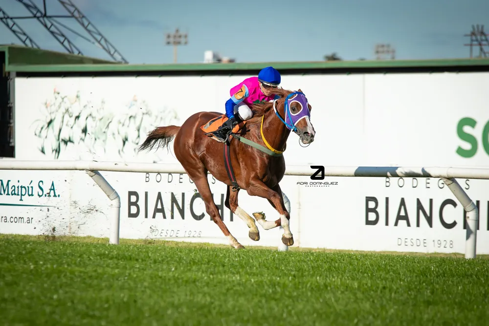 ecologo estrella (1 de 3)