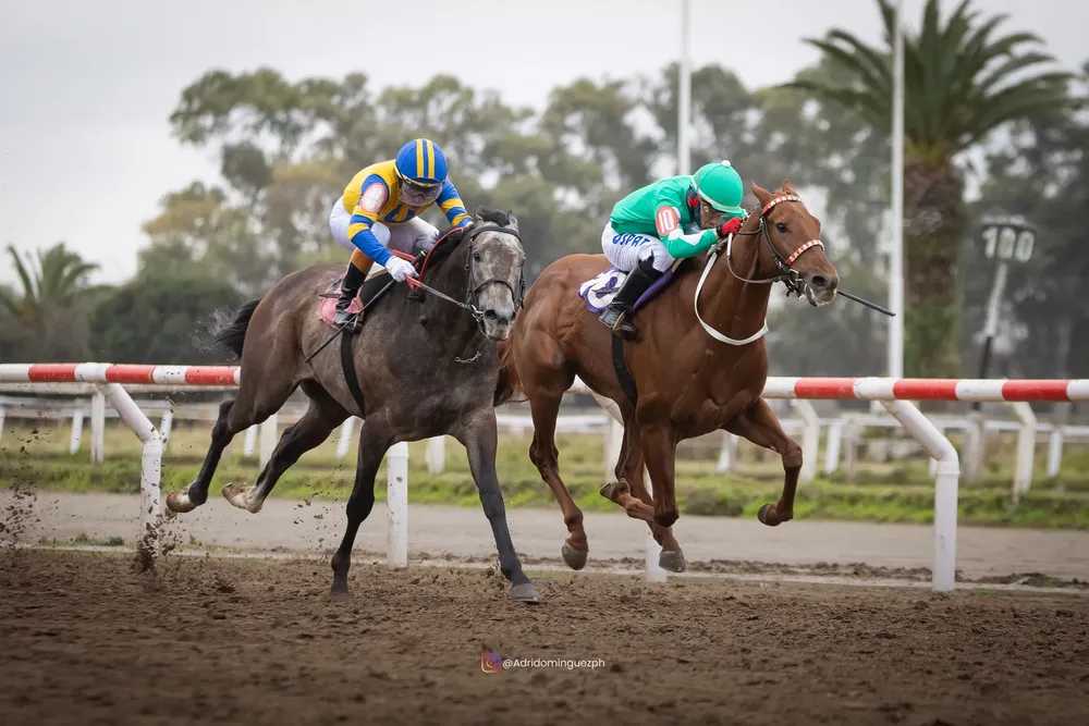 WINSTON ARAMBURU (1 de 5)