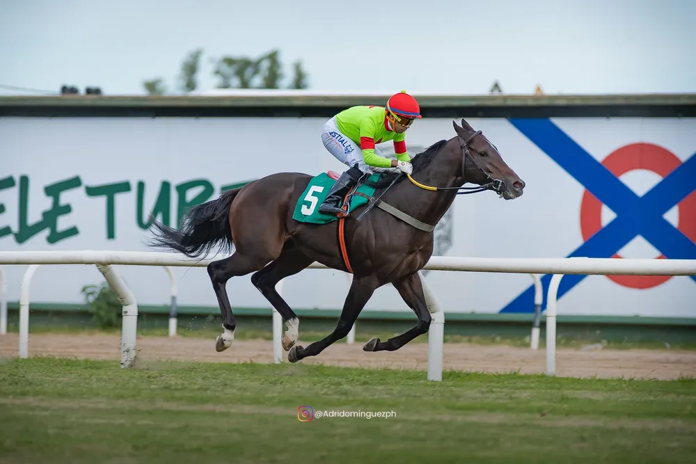 Bluclette Rim Web (1 de 1)