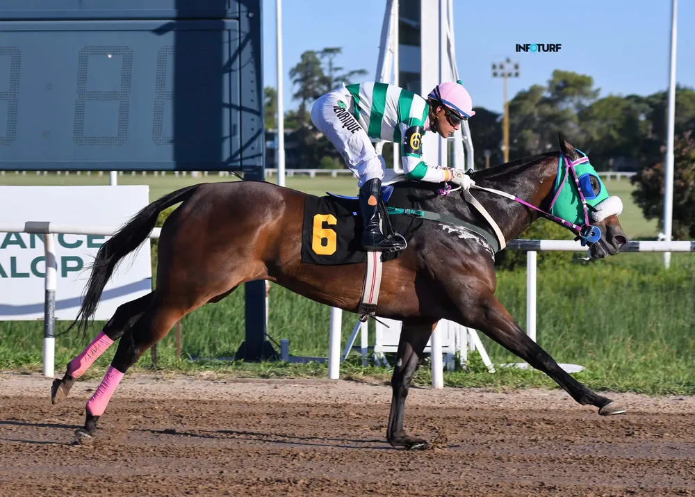 7º 6 VIDA REAL  (8)