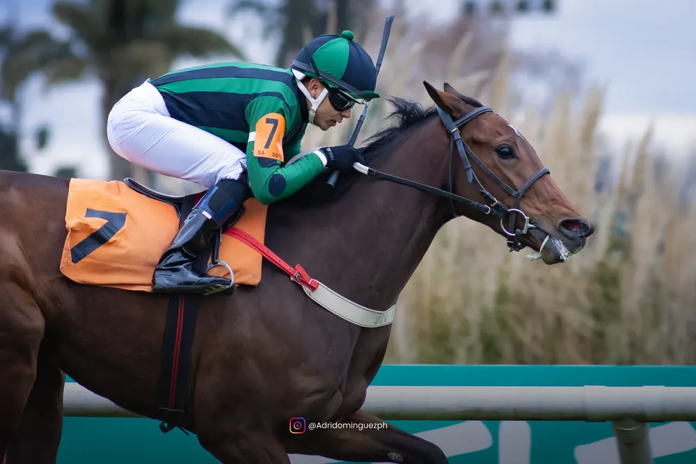 MI CONFESION BAYAKOA--3