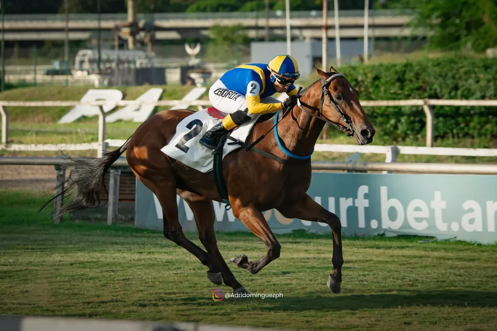 GARBOSO FRANK (1 de 4)