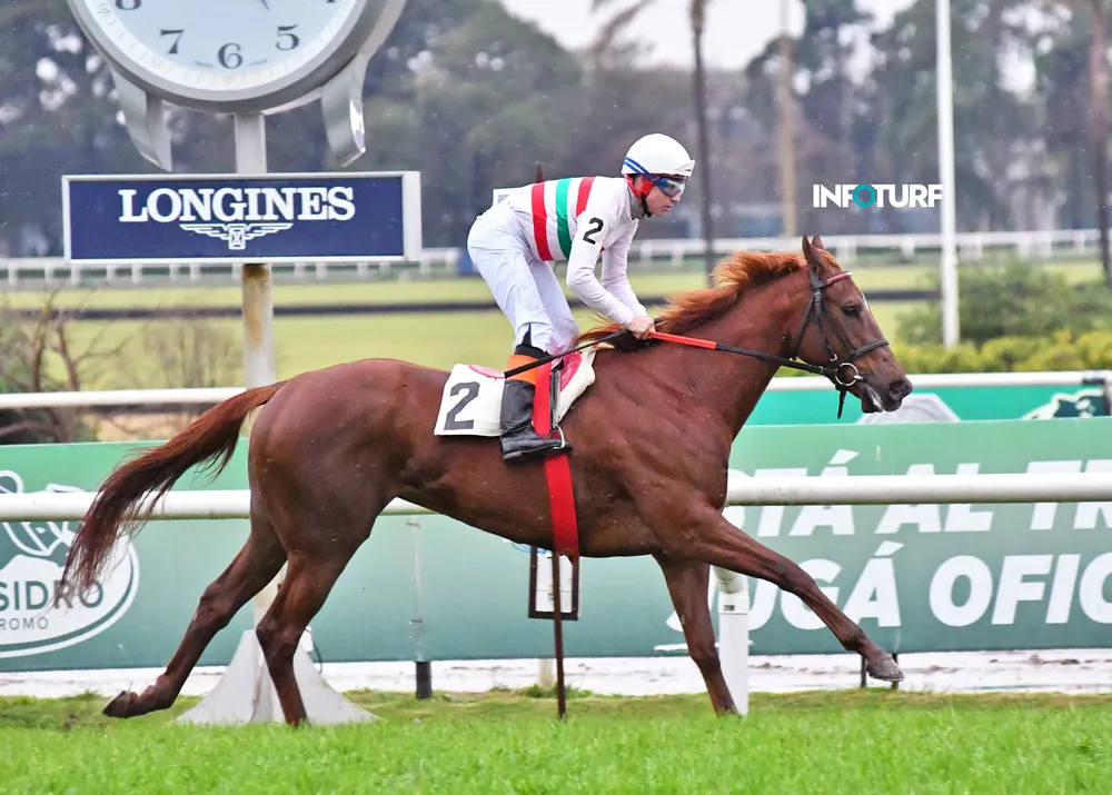 8 º 02 NANABUSH (2)