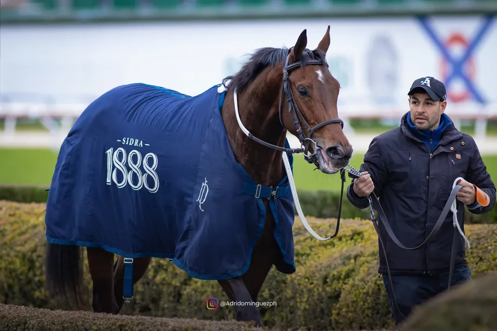 MI CONFESION BAYAKOA--6