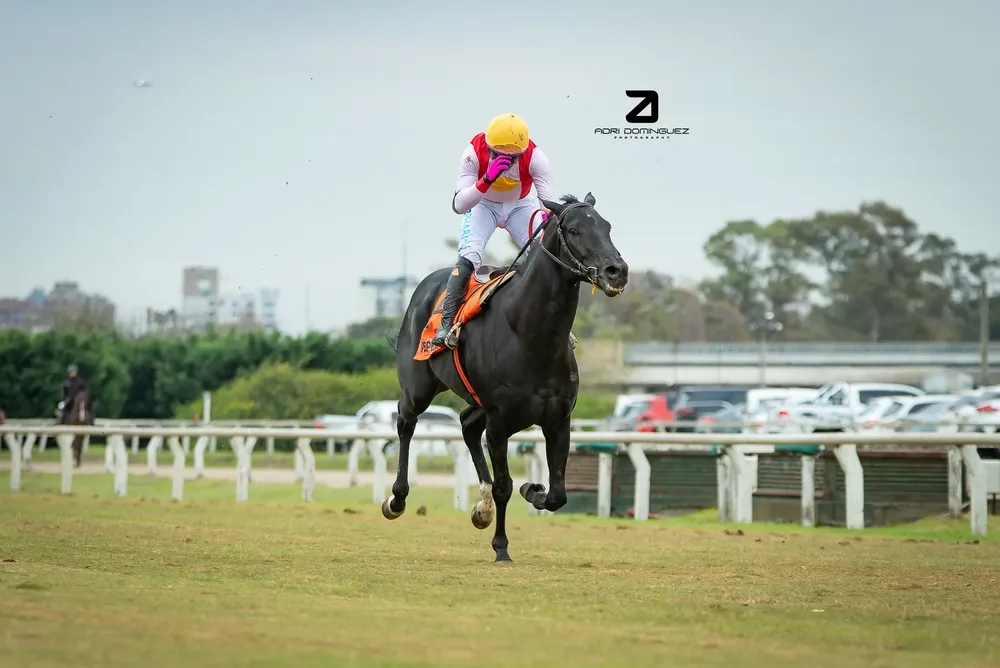 pepe joy san martin (1 de 5)