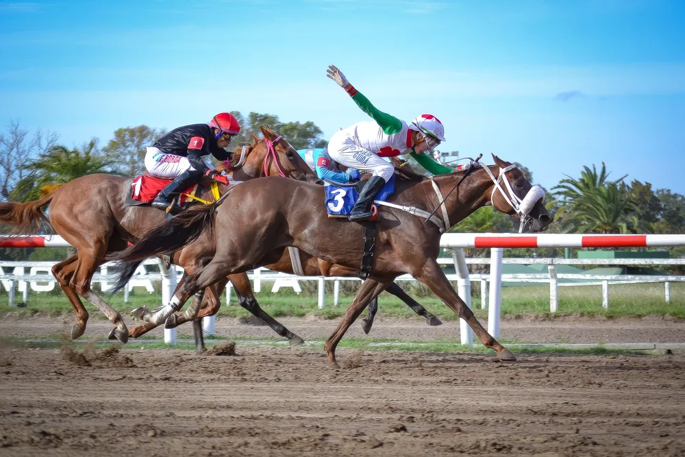 QUE BUENA B (1 de 2)