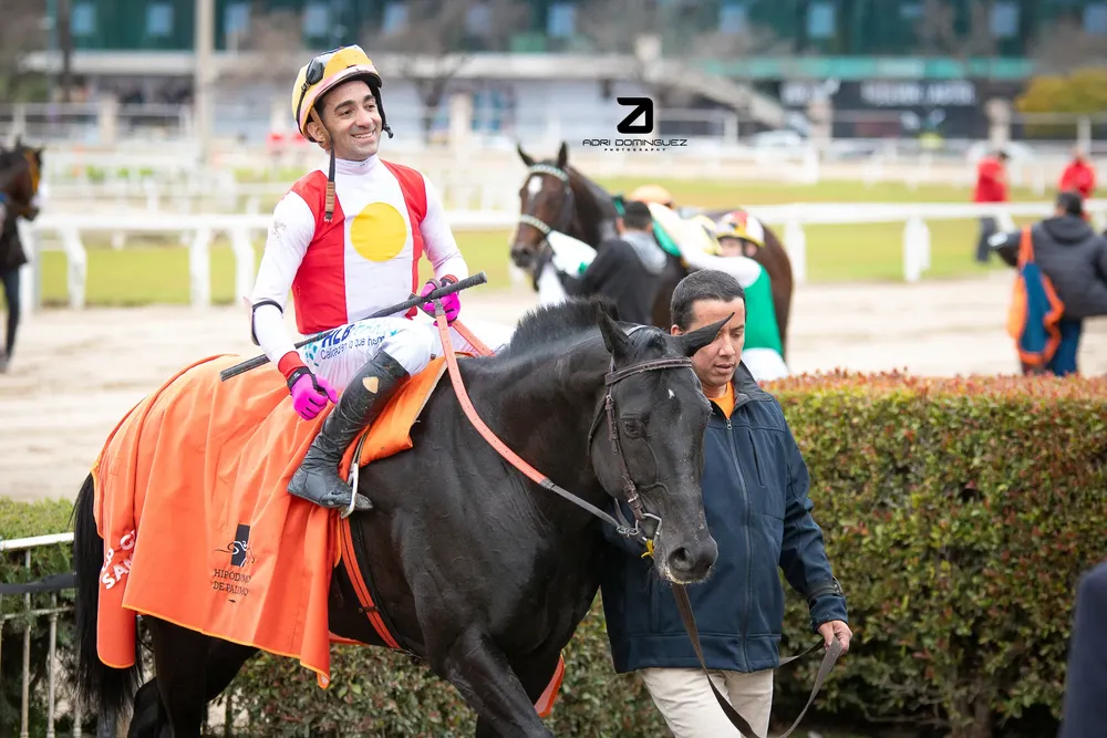 pepe joy san martin (4 de 5)