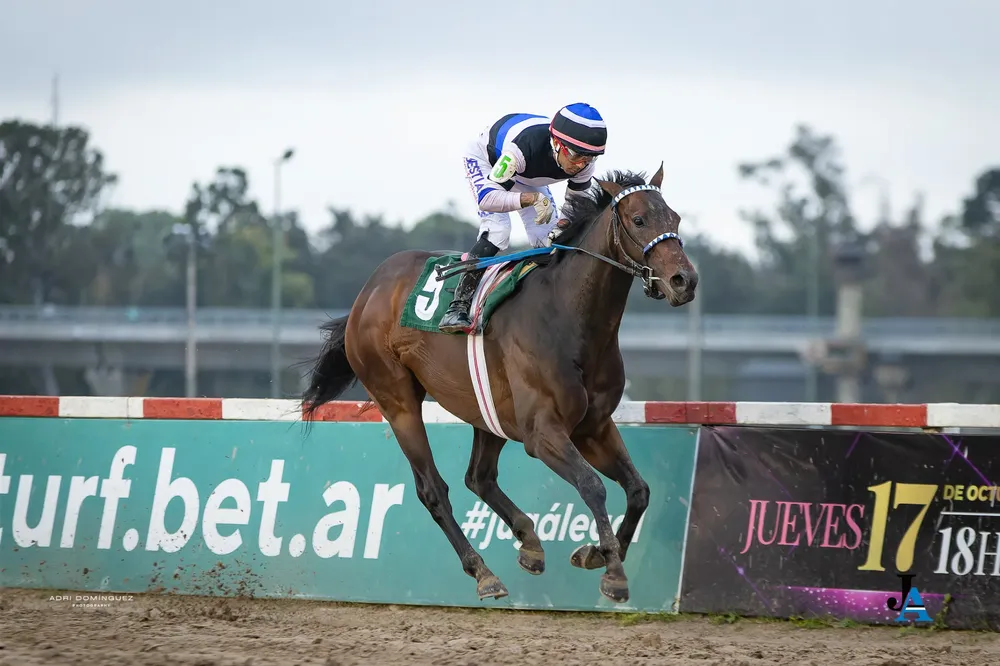 EL KODIGO CASARES (2)