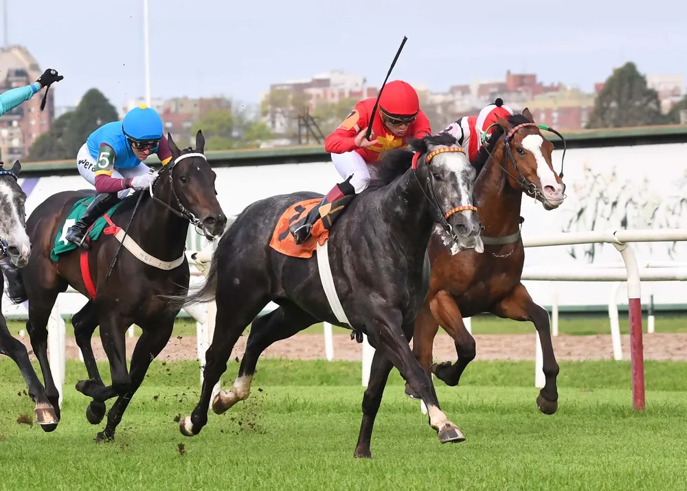 9° 07 THE OUTSIDER (1)