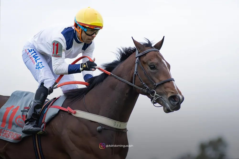 the great racing (2)