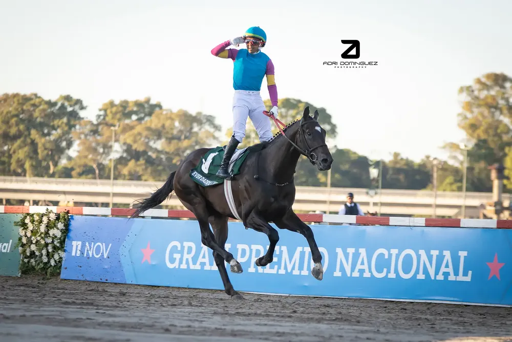 Ever Daddy Nacional (6)