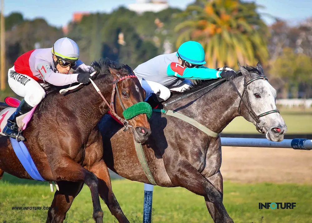 simpatica peluquera (1 de 4)