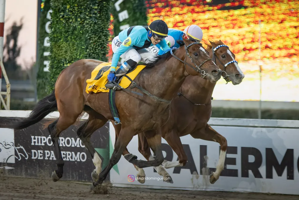 GARDEL PASS POLLA FEED