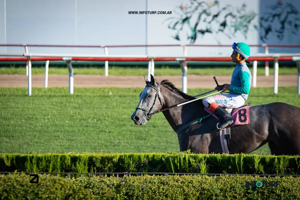 simpatica peluquera (3 de 4)-2