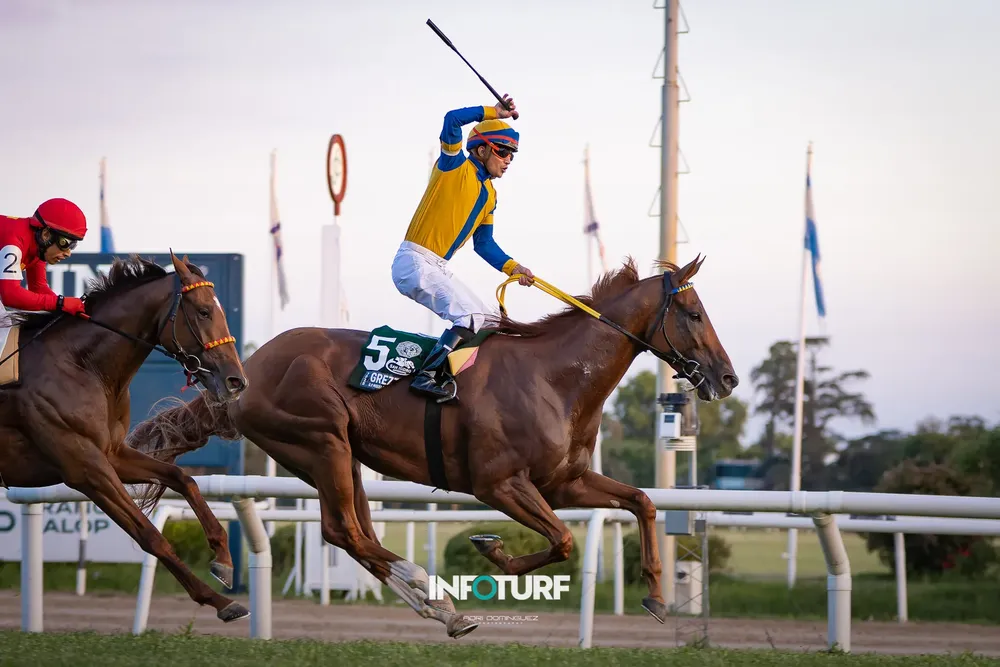 GREZZO MARTINEZ WEB-010