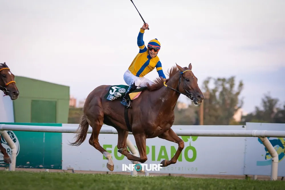 GREZZO MARTINEZ WEB-008