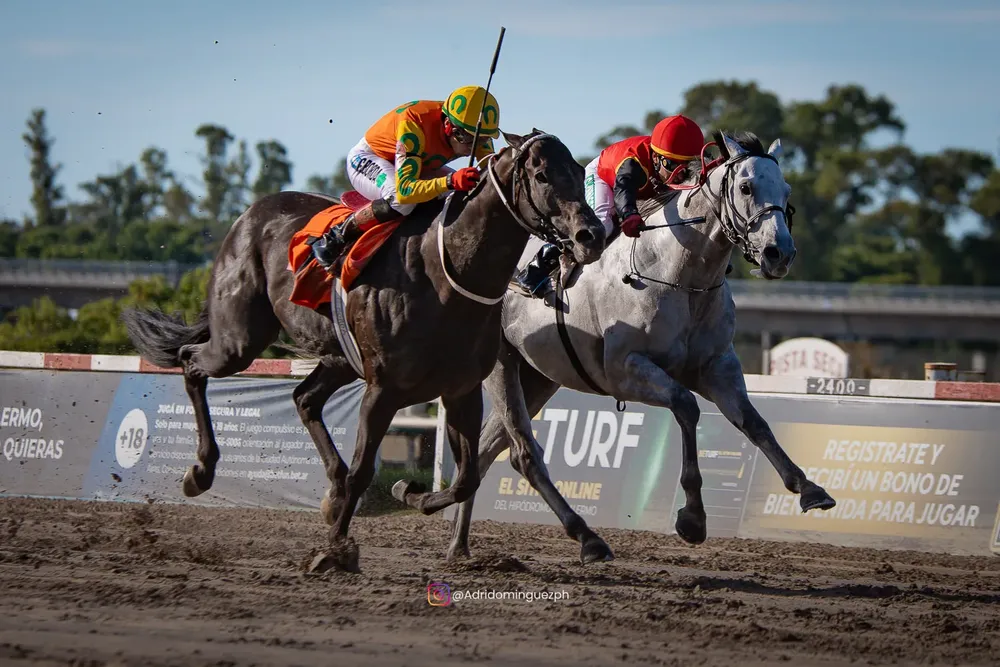 preston boss web (1 de 1)