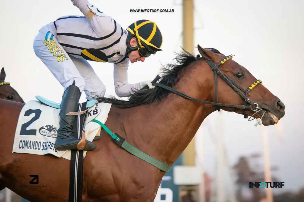 comando 9 de julio 2