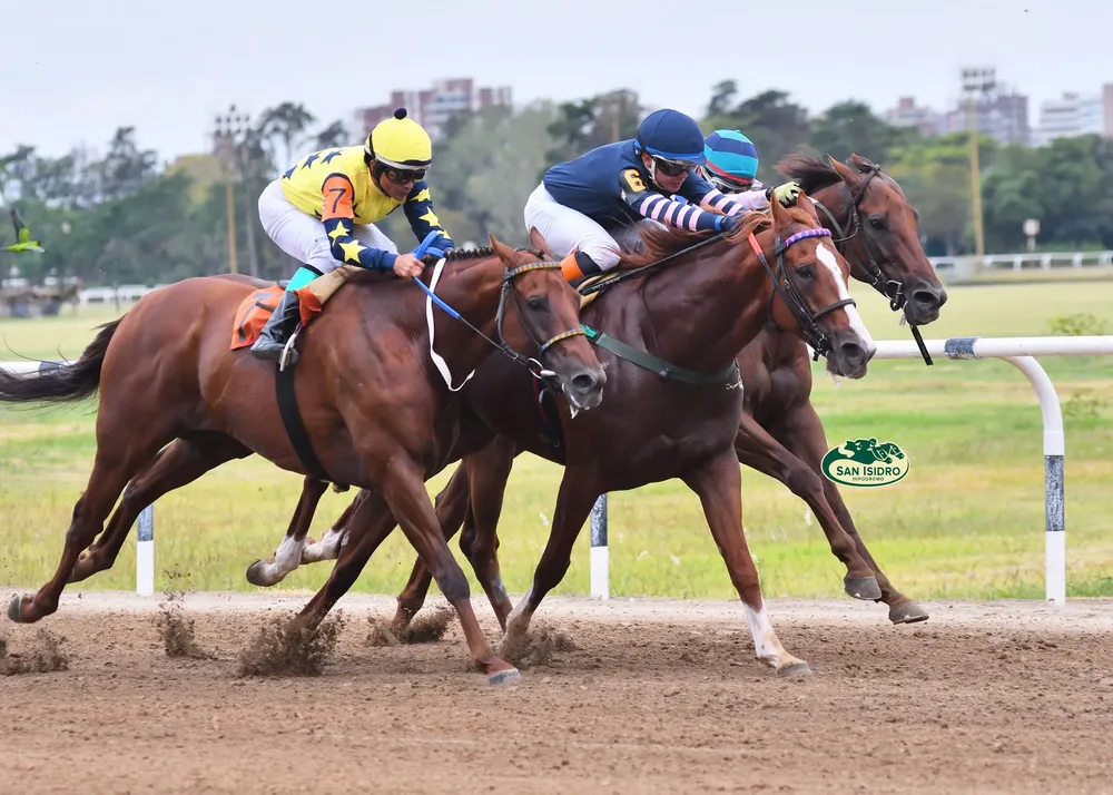 426182752_782157750611271_7724106406096639386_n