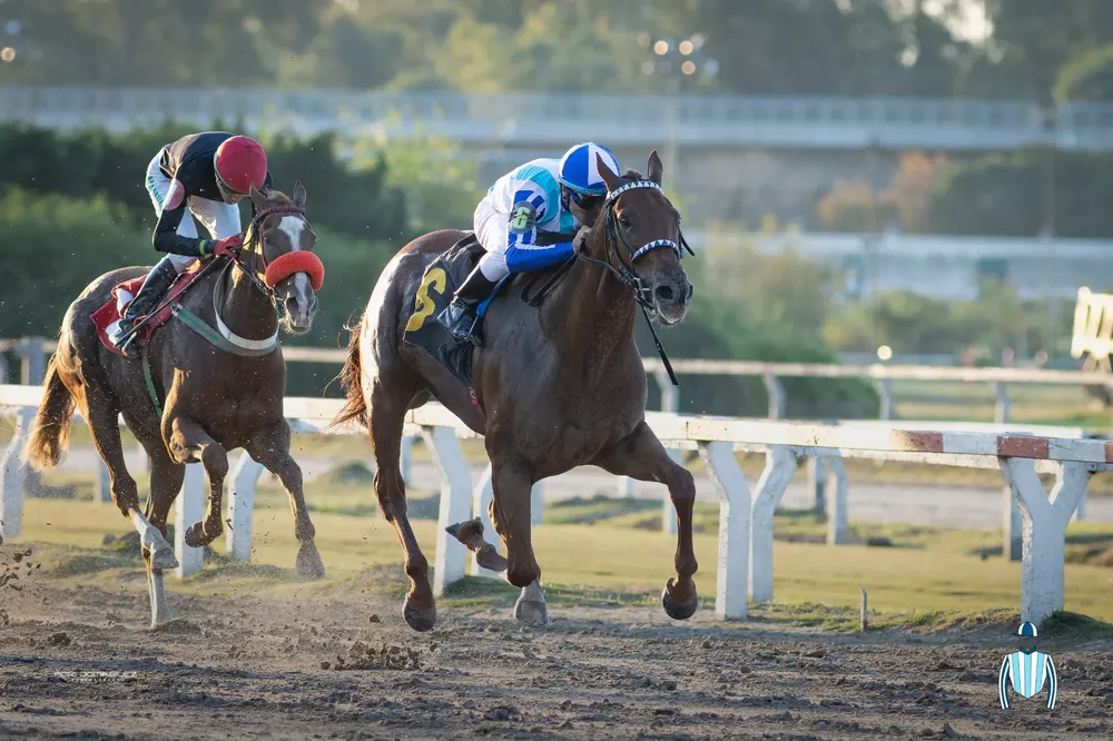 WhatsApp Image 2025-05-04 at 11.36.49