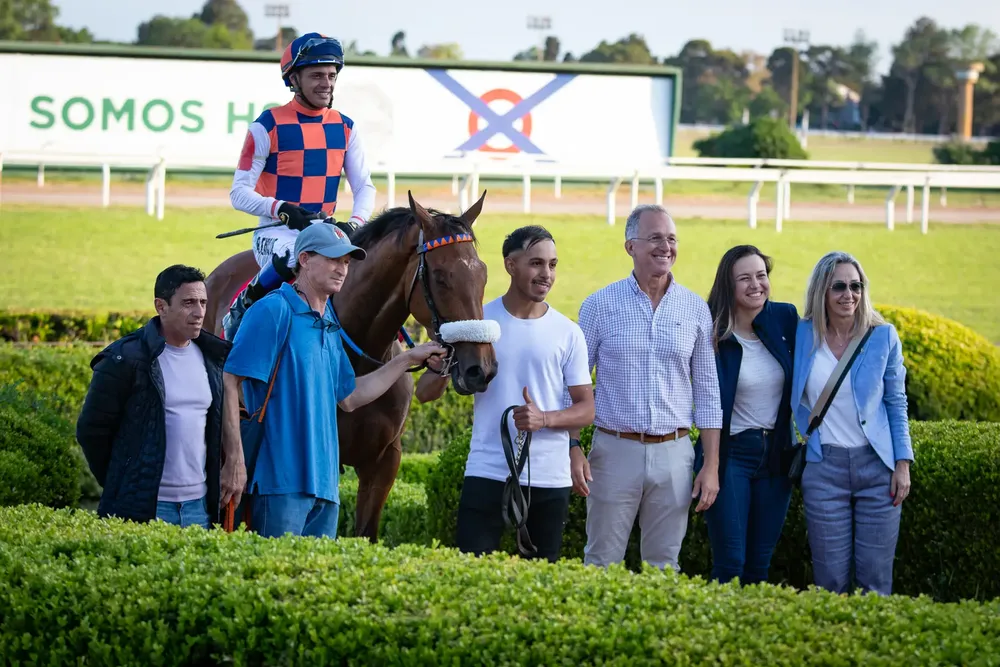 Mysterious Way - Los Haras (G2) (2)