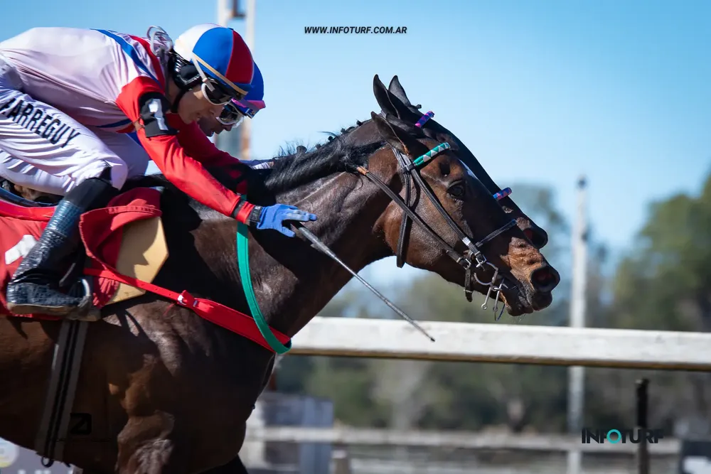 JOY MIRENLA (2 de 2)