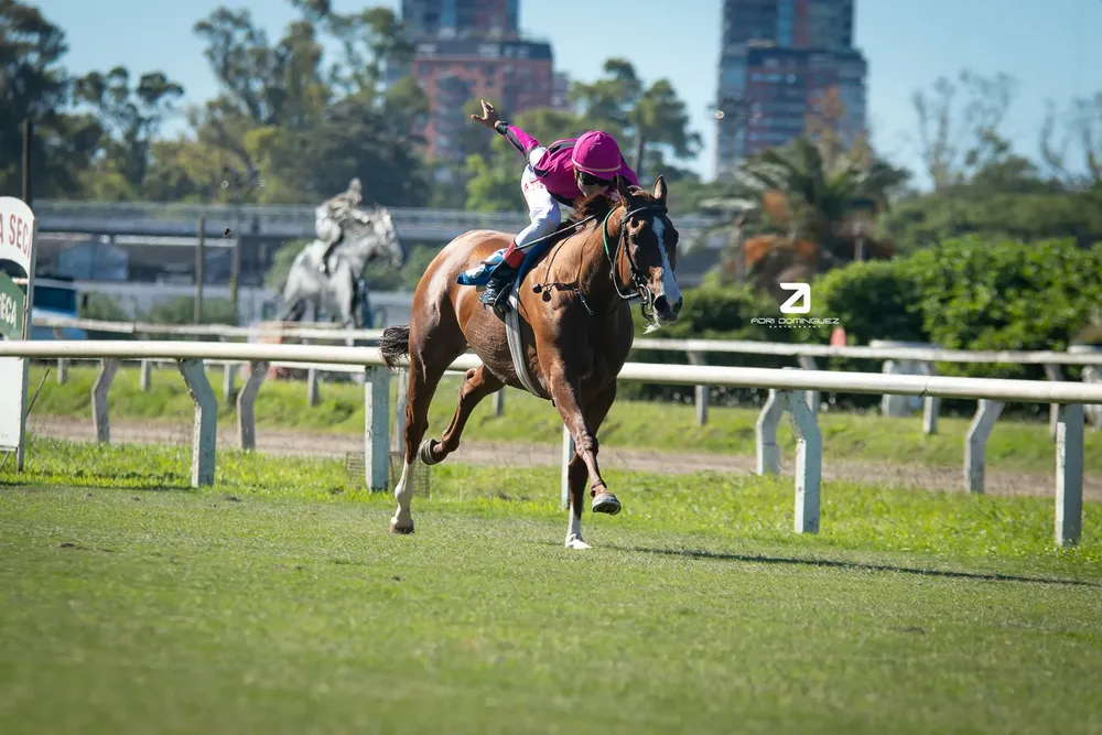 campeona 2