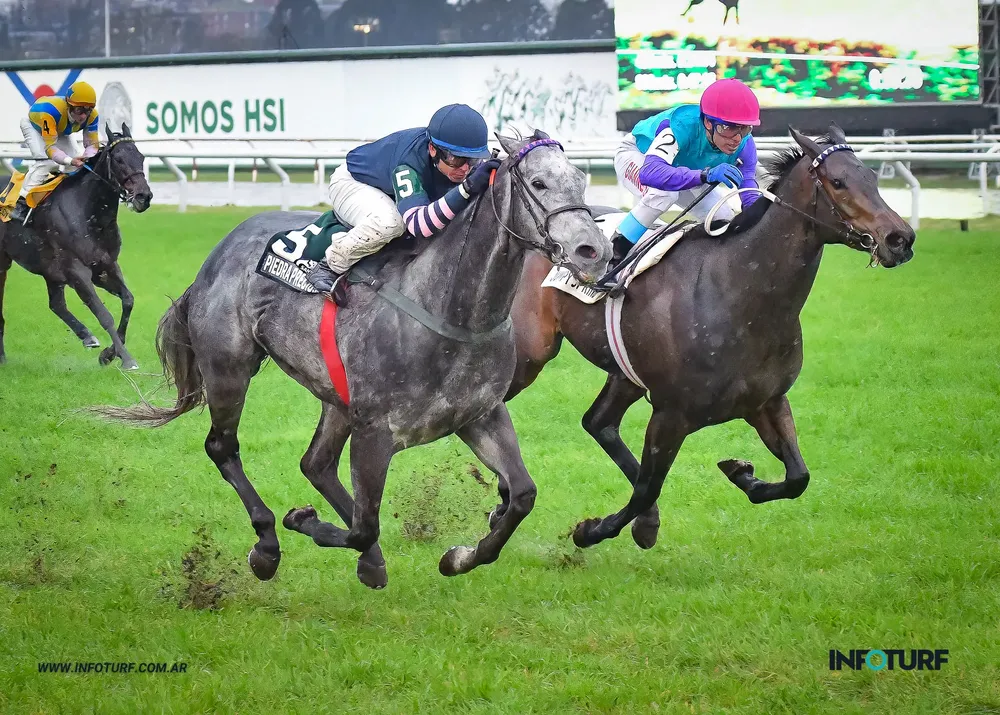 piedra preciosa (1 de 2)