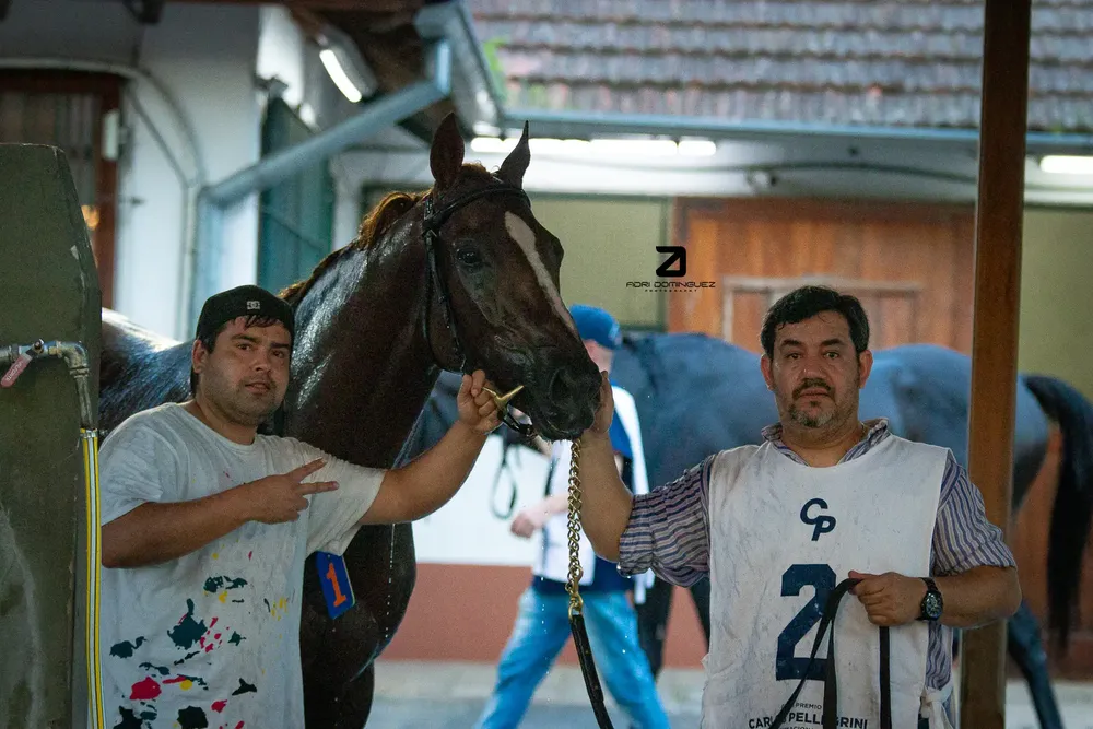 EL ENCINAL G.P. CARLOS PELLEGRINI (2)