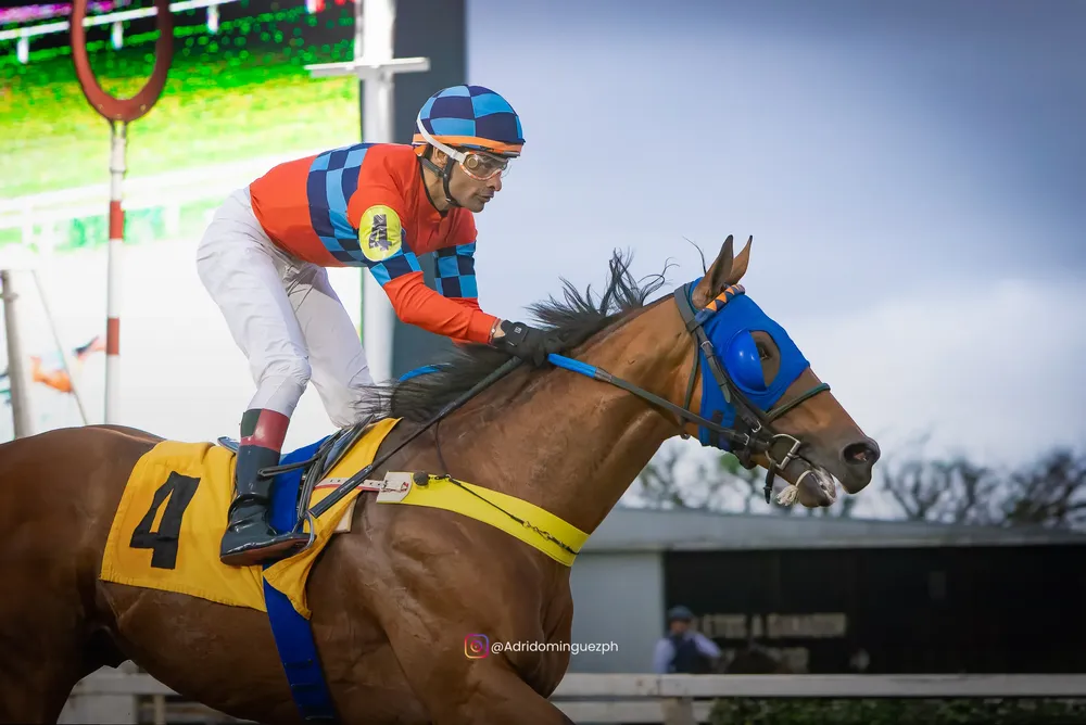 TREASURE ISLAND 05-10-3