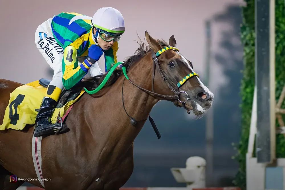 ESCOLASTIC GIRL 0707