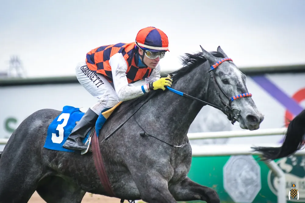 7º 03 PARTY GIRL (7)