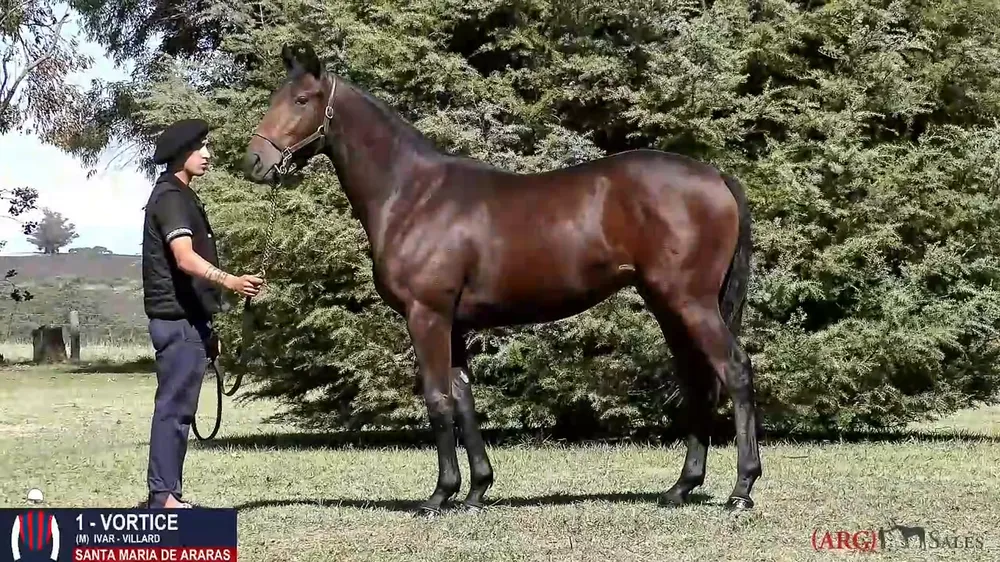 Captura de pantalla 2026-04-08 141614