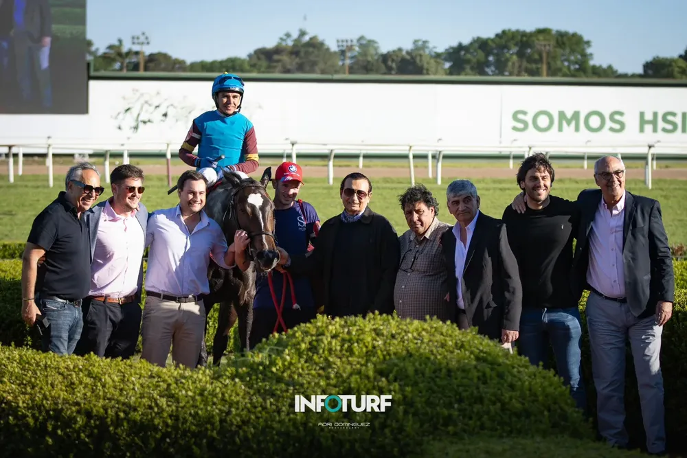 Vision Triomphe Los Haras (2)