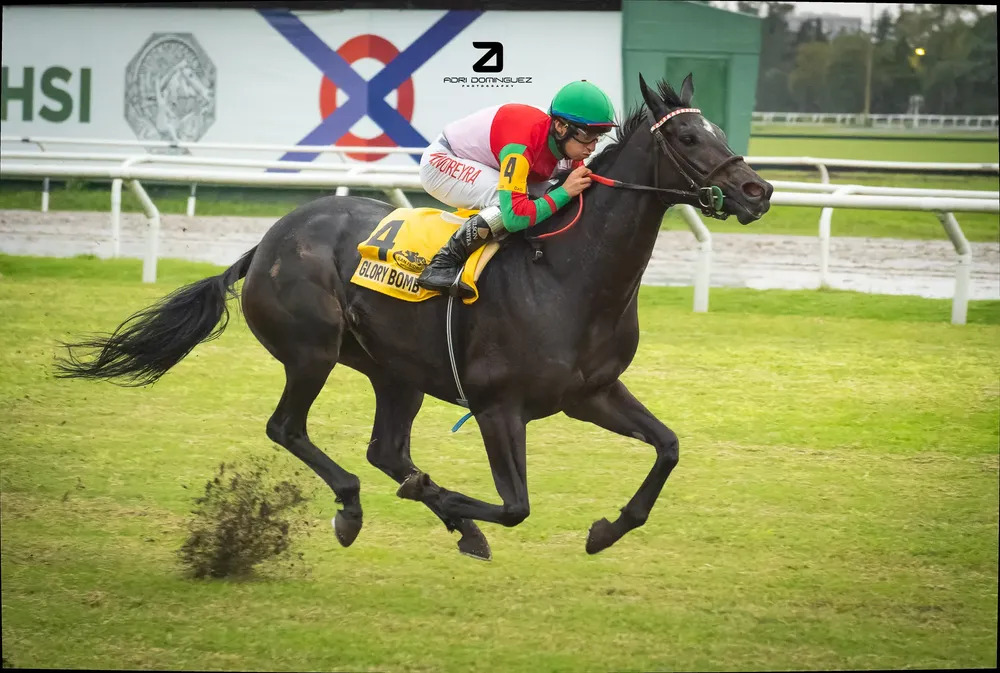 Glory Bomb Olavarria