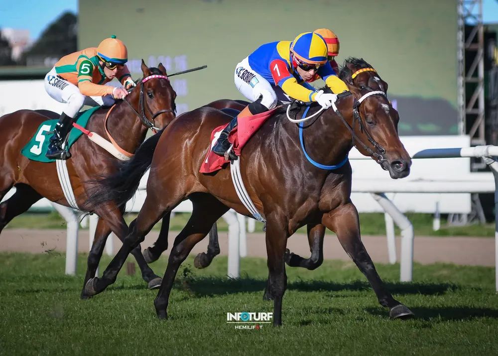 FULL CALUROSO SANGUINETTI