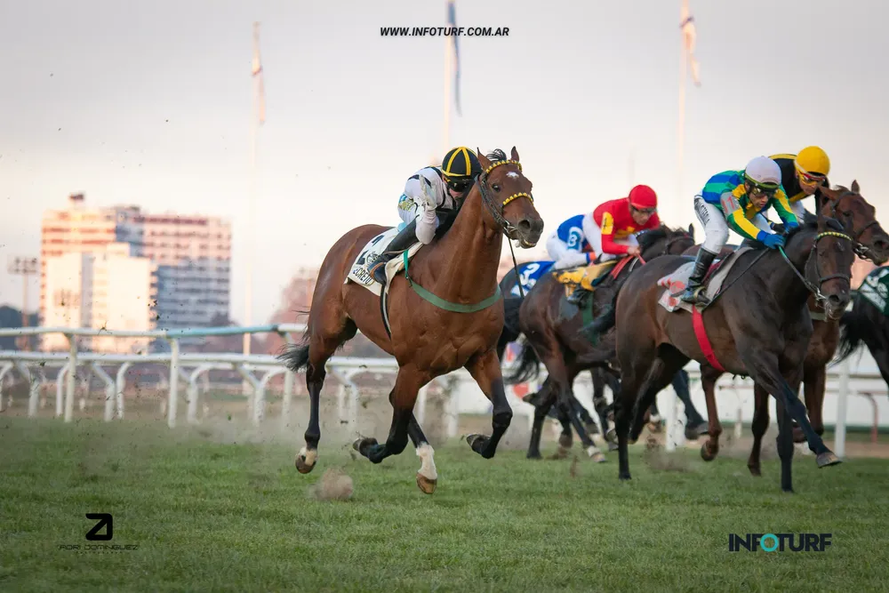 comando 9 de julio 3