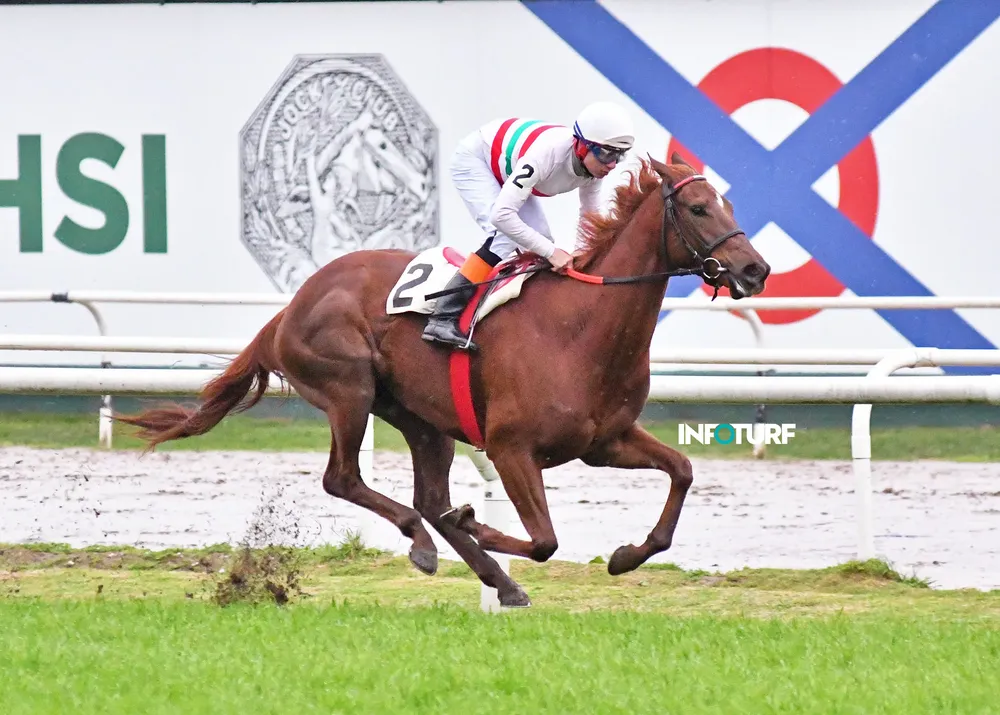 8 º 02 NANABUSH (4)