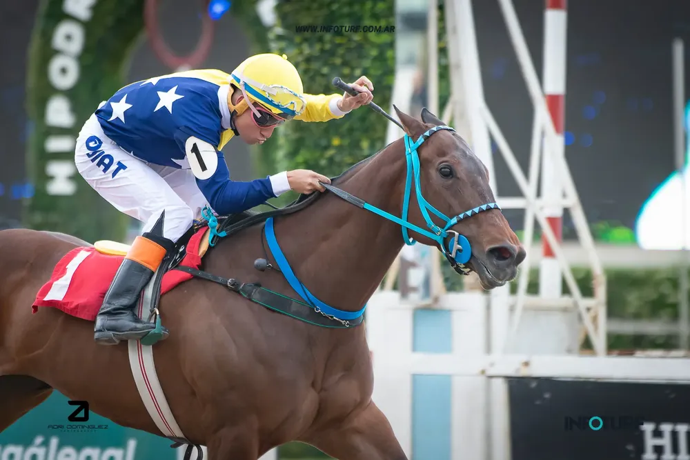 decimelo al oido (2)