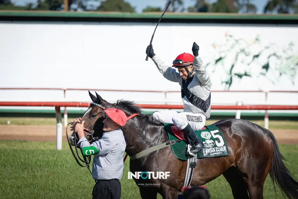 ANSIA CLARA - G.P. SUIPÁCHA (3)