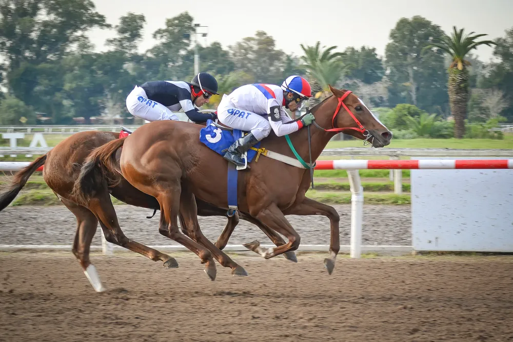 illa alegre (1 de 1)