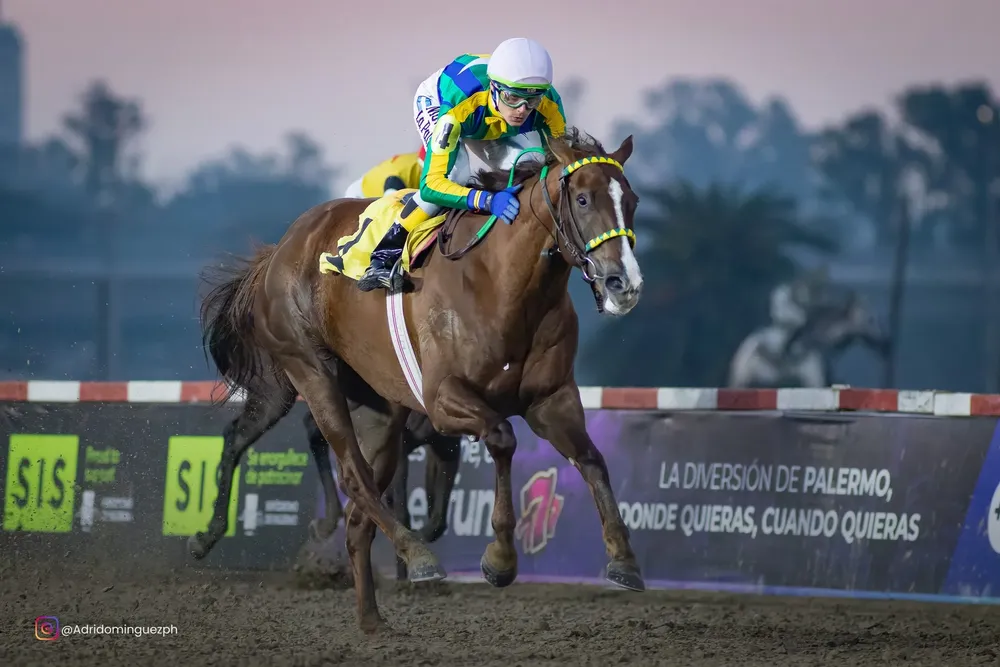 ESCOLASTIC GIRL 07072