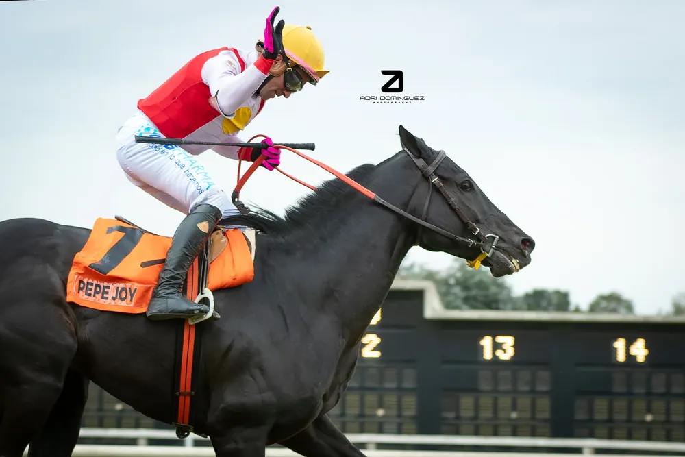 pepe joy san martin (3 de 5)