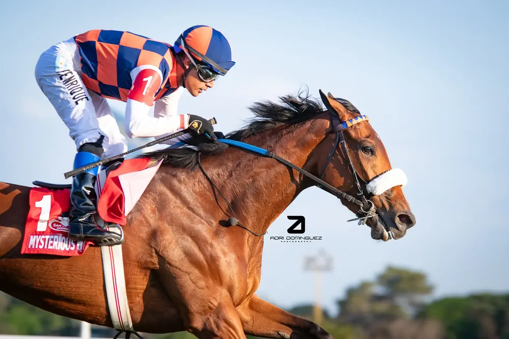 Mysterious Way - Los Haras (G2) (1)