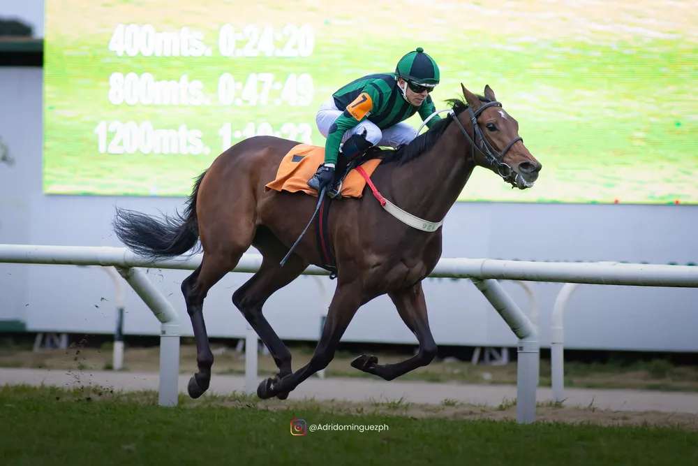 MI CONFESION BAYAKOA-