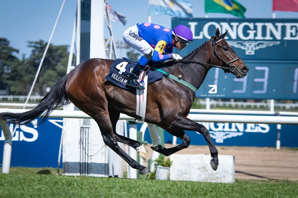 386404447_828480859277595_3655602890559472380_n